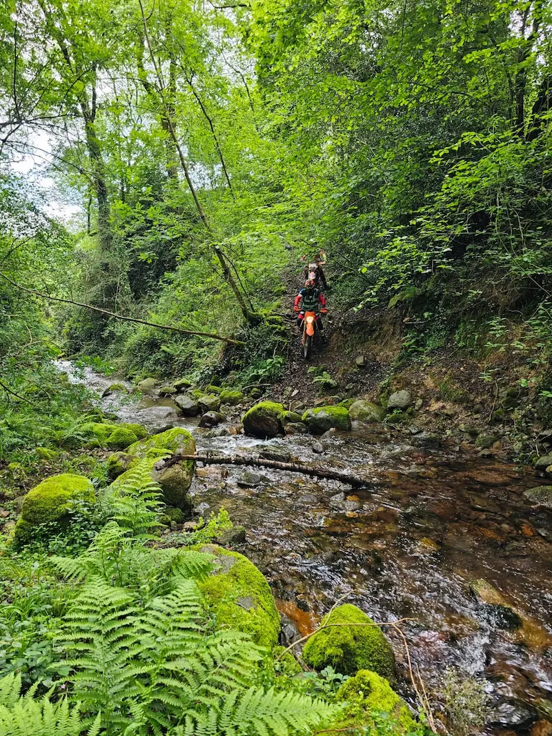 parcours enduro en forêt lors d'une balade au roadbook avec Benji Melot